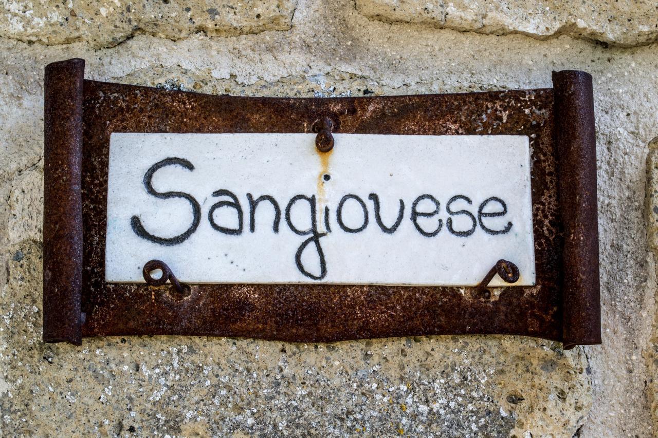 Agriturismo Poggio Delle Conche Pitigliano Eksteriør bilde