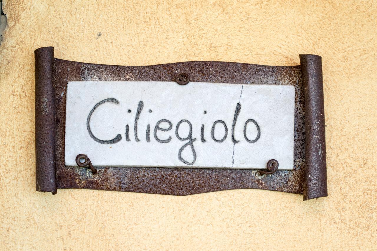 Agriturismo Poggio Delle Conche Pitigliano Eksteriør bilde